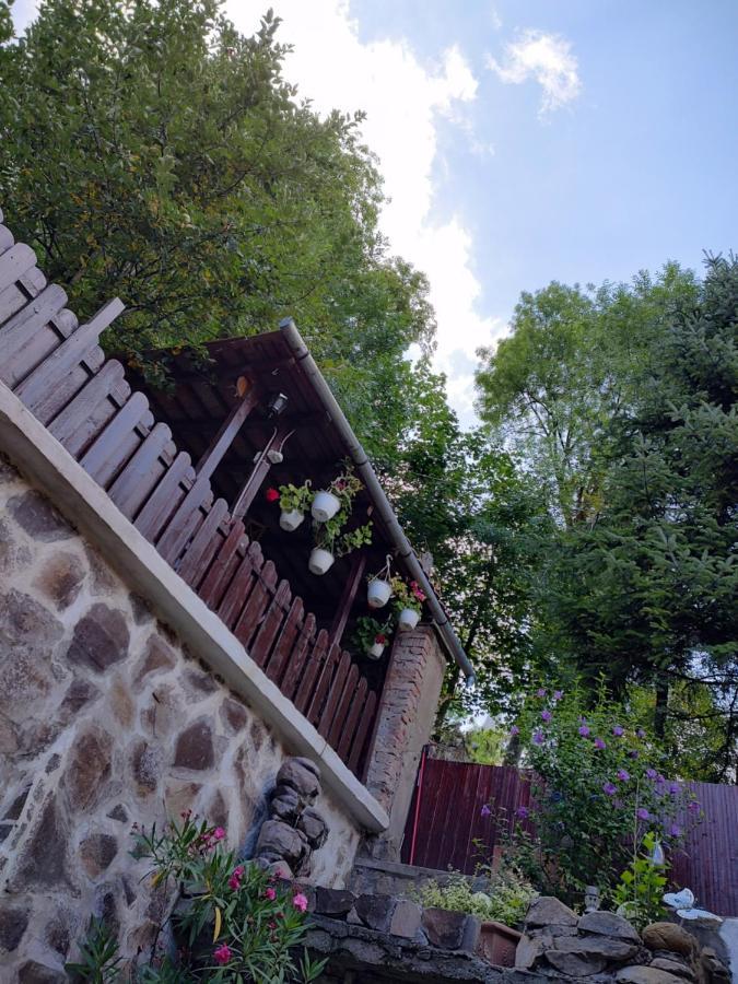 Gloria Apartments シギショアラ エクステリア 写真